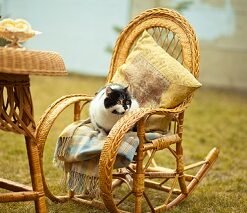 Wicker Rocking Chairs